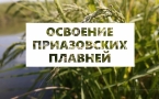 «ОСВОЕНИЕ ПРИАЗОВСКИХ ПЛАВНЕЙ»