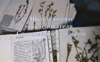 «ШКОЛА ЮНОГО ИССЛЕДОВАТЕЛЯ. СБОР ГЕРБАРИЯ»