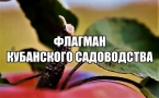 «ФЛАГМАН КУБАНСКОГО САДОВОДСТВА»