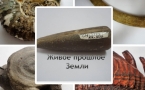 «ЖИВОЕ ПРОШЛОЕ ЗЕМЛИ»